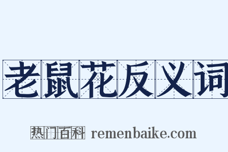老鼠花反义词是什么意思的图片
